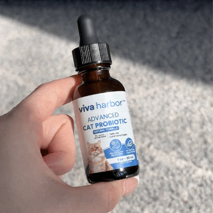 VH™ Advanced Cat Probiotic
